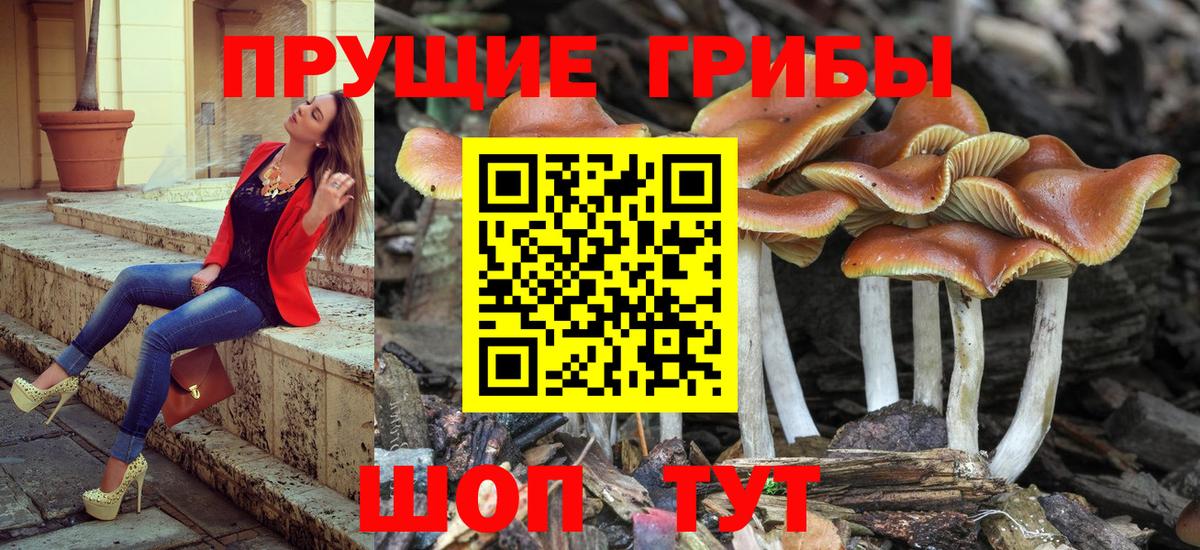 Псилоцибиновые грибы MAGIC MUSHROOMS Тобольск