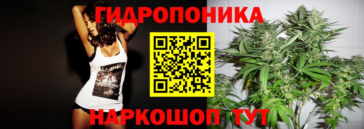 Канабис план  Бошки марихуана VHQ  Тобольск  Конопля AK-47  Конопля тримм  Вход с VPN 